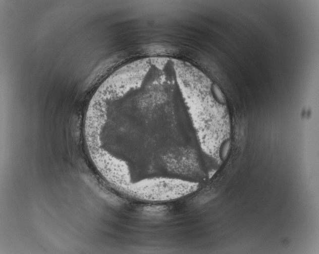 X0000111530357200908111232