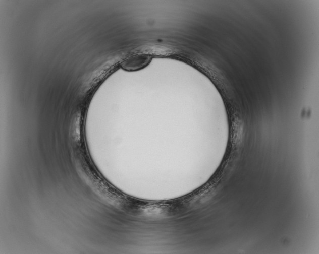 X0000111530358200908111232