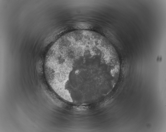 X0000111530359200908111232