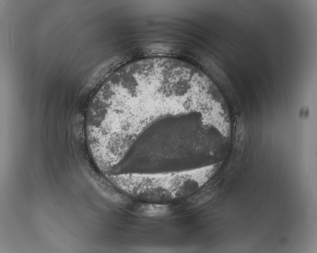 X0000111530361200908111232