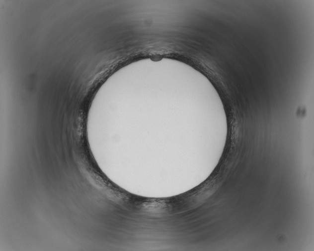 X0000111530362200908111232