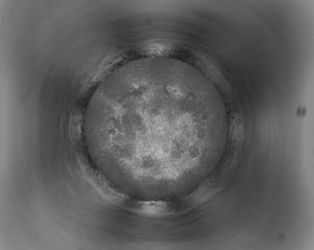 X0000111530363200908111232