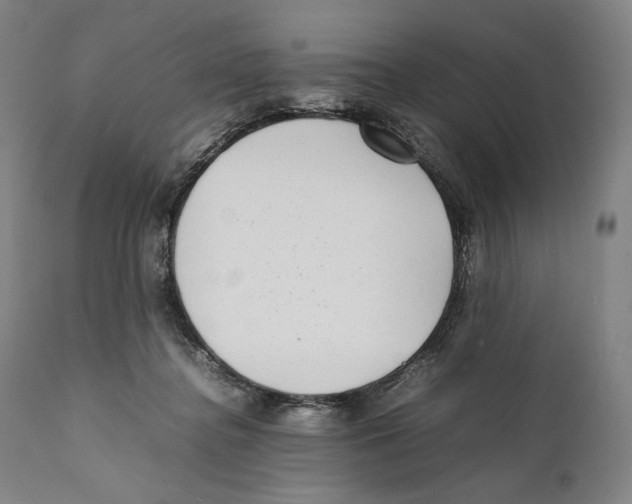 X0000111530364200908111232