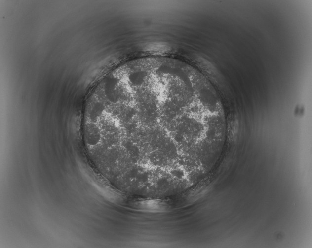 X0000111530365200908111232