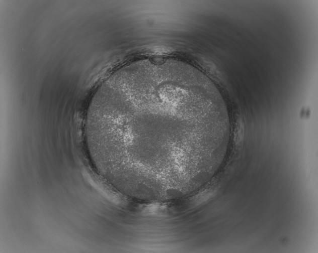 X0000111530366200908111232