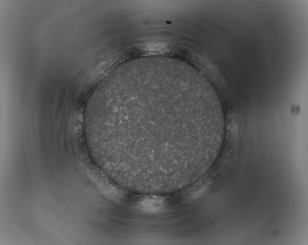 X0000111530369200908111232