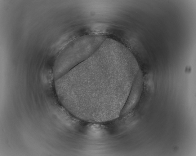 X0000111530372200908111232