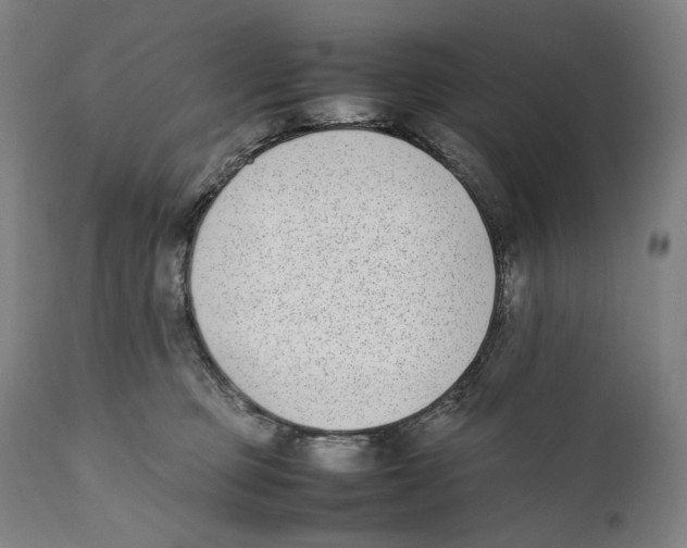 X0000111530373200908111233