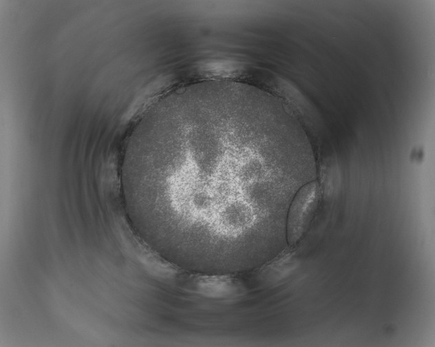 X0000111530377200908111233