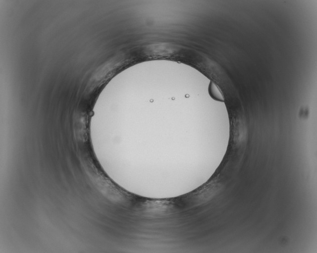 X0000111530378200908111233