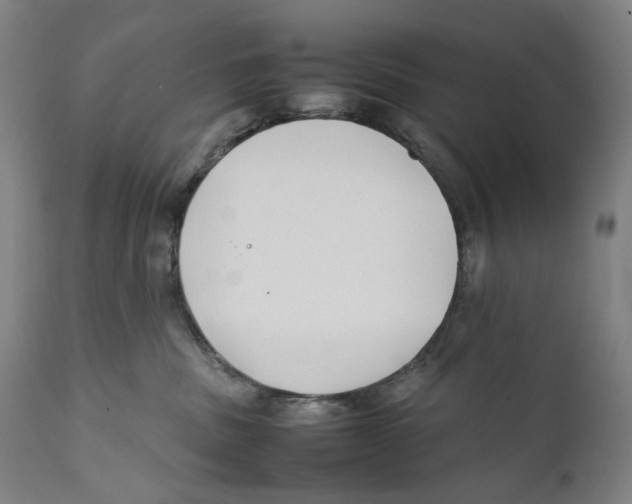 X0000111530379200908111233