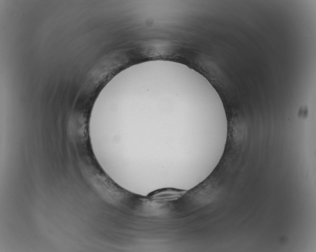 X0000111530380200908111233