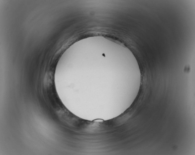 X0000111530382200908111233