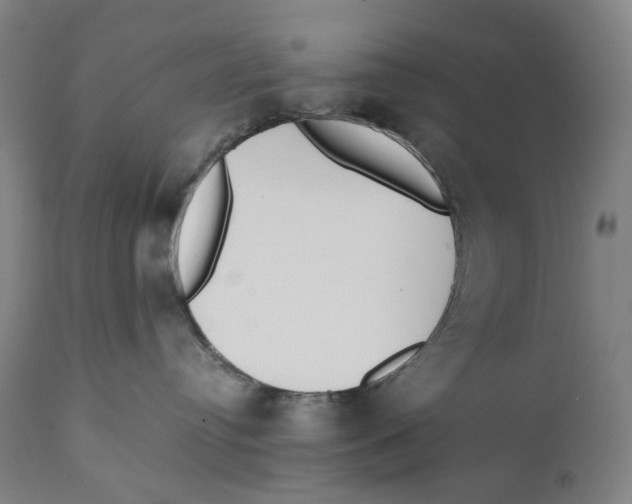 X0000111530384200908111233