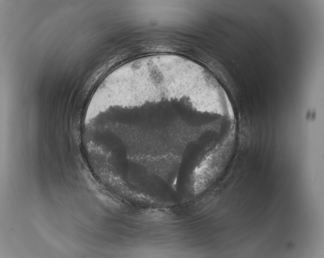 X0000111530386200908111232