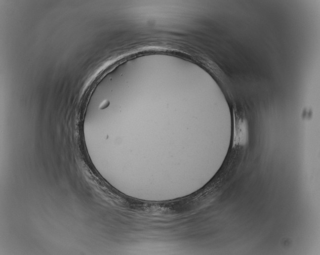 X0000111530387200908111232