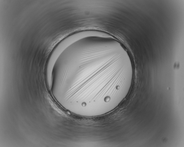 X0000111530389200908111232