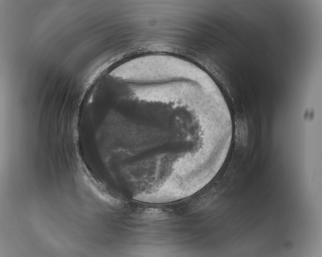 X0000111530390200908111232