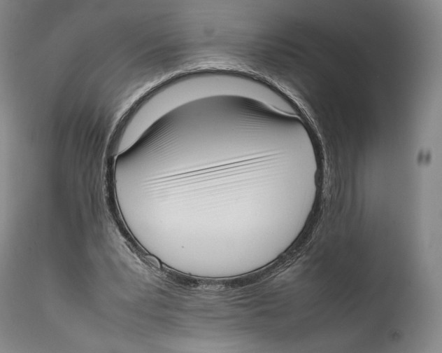 X0000111530391200908111232