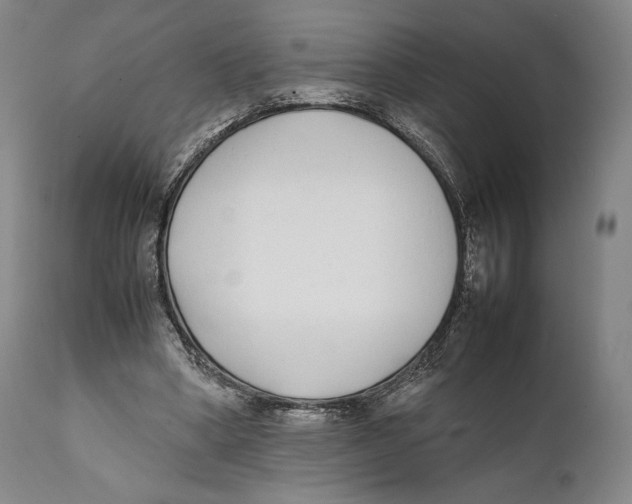 X0000111530394200908111232