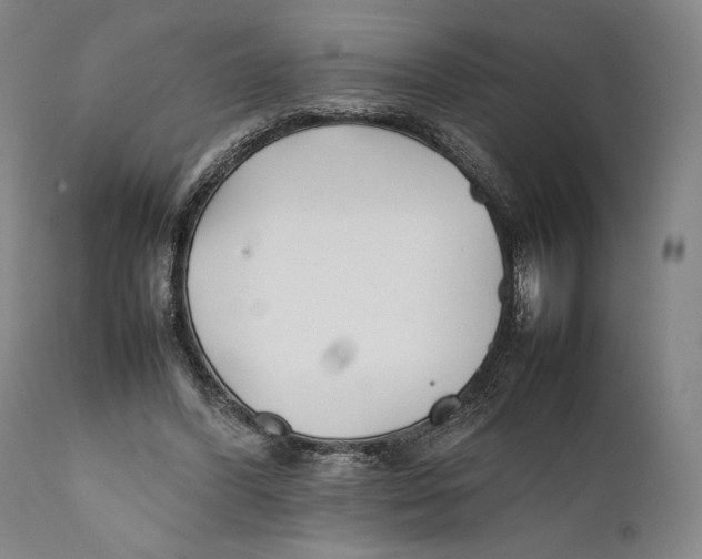 X0000111530396200908111232