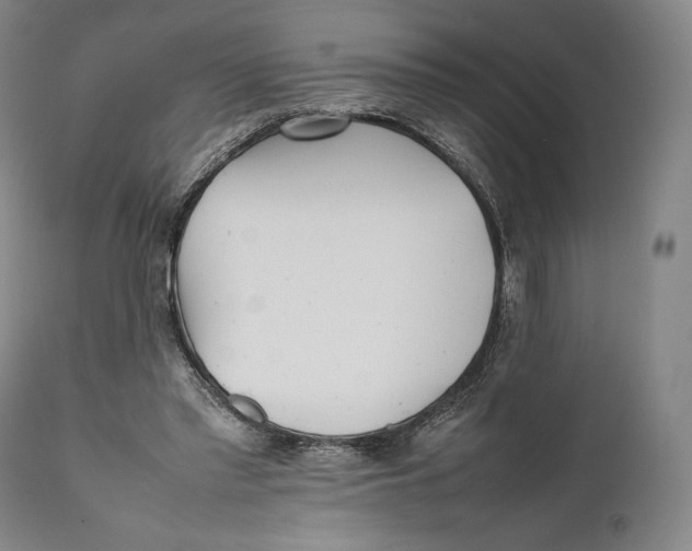 X0000111530397200908111231