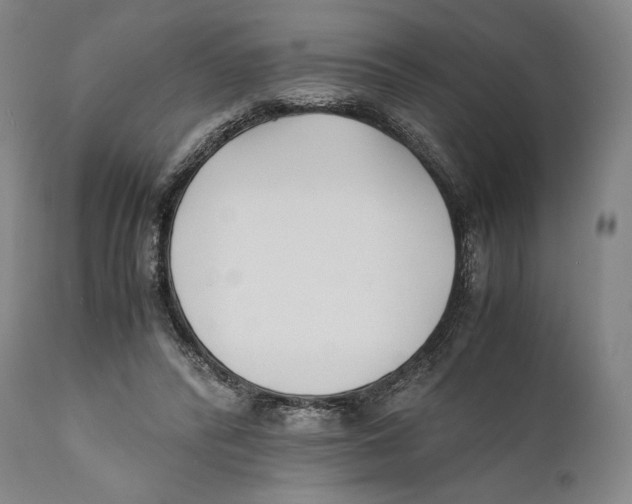 X0000111530400200908111231