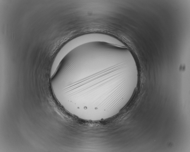 X0000111530401200908111231