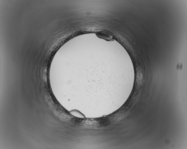 X0000111530403200908111231