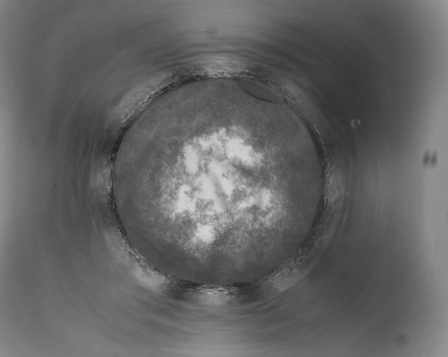 X0000111530405200908111231