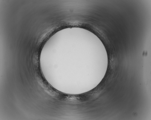 X0000111530407200908111231