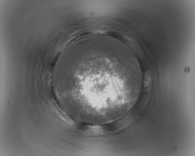 X0000111530409200908111231