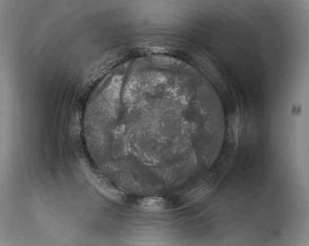 X0000111530410200908111231