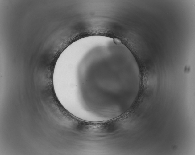 X0000111530411200908111231