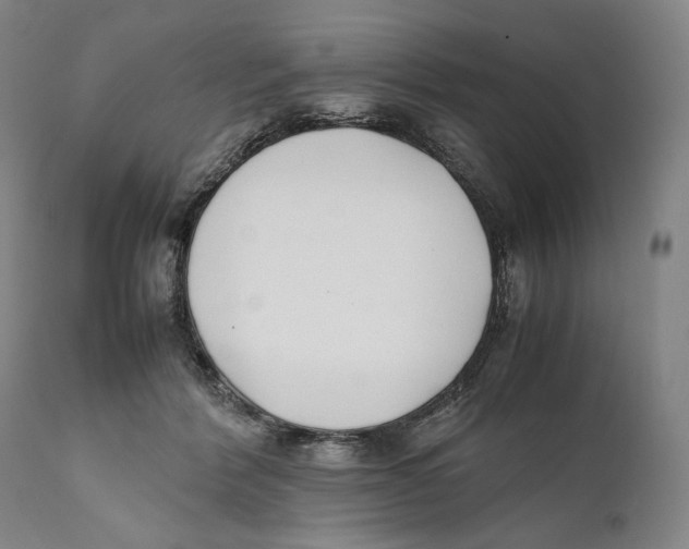 X0000111530412200908111231