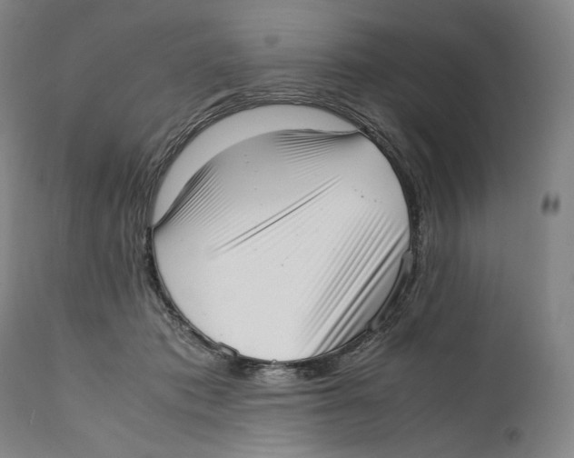 X0000111530413200908111231