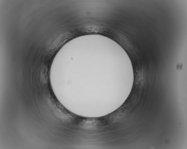 X0000111530414200908111231