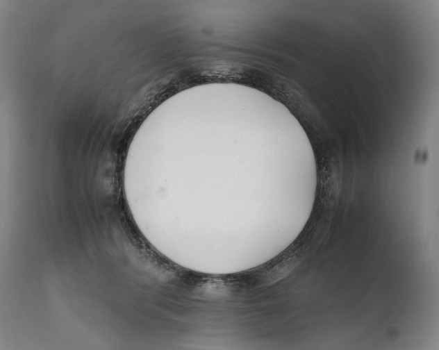 X0000111530416200908111231