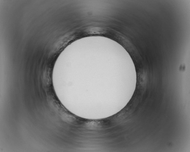 X0000111530422200908111231