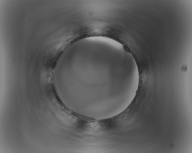 X0000111530423200908111231