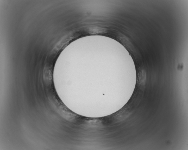 X0000111530426200908111231