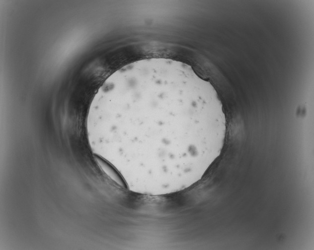 X0000111530429200908111231