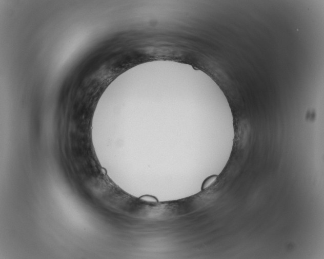 X0000111530430200908111231