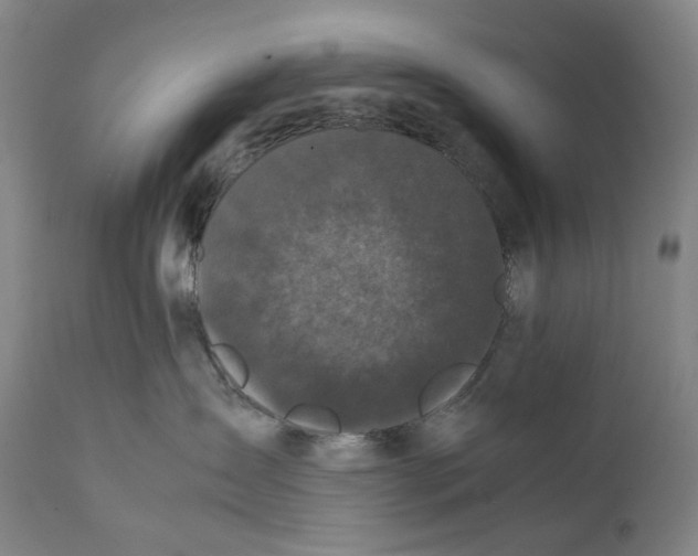 X0000111530431200908111231