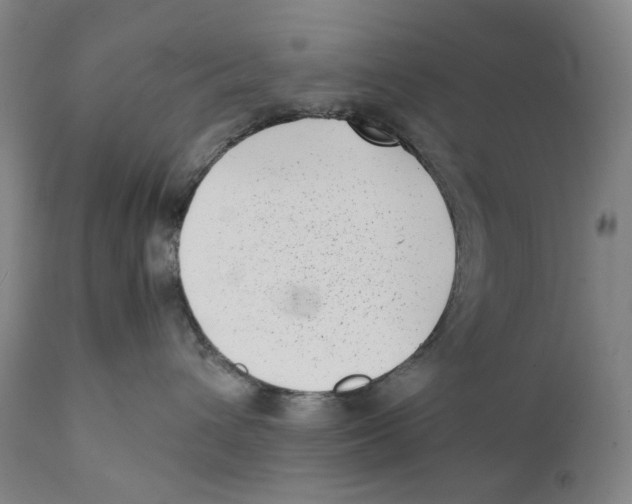 X0000111530432200908111231