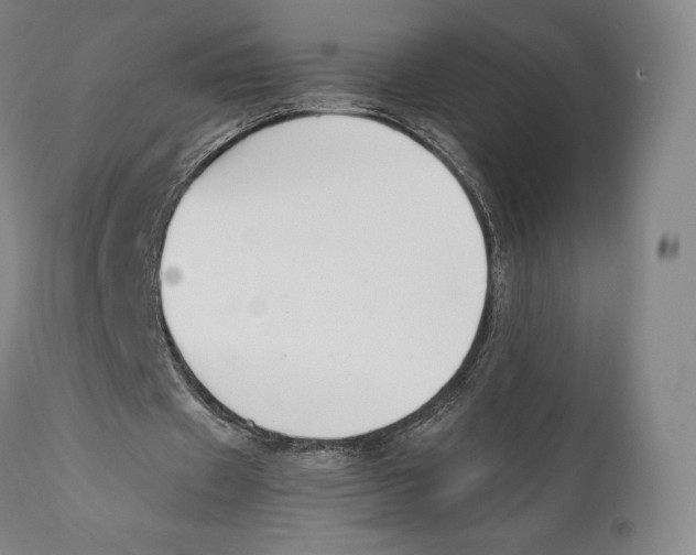 X0000111530433200908111230