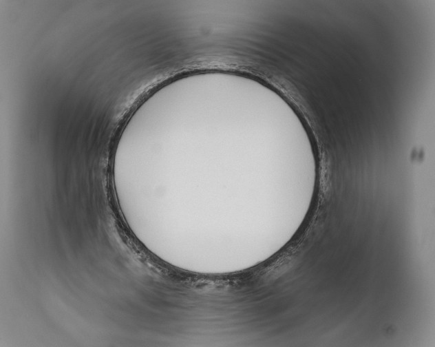 X0000111530434200908111230