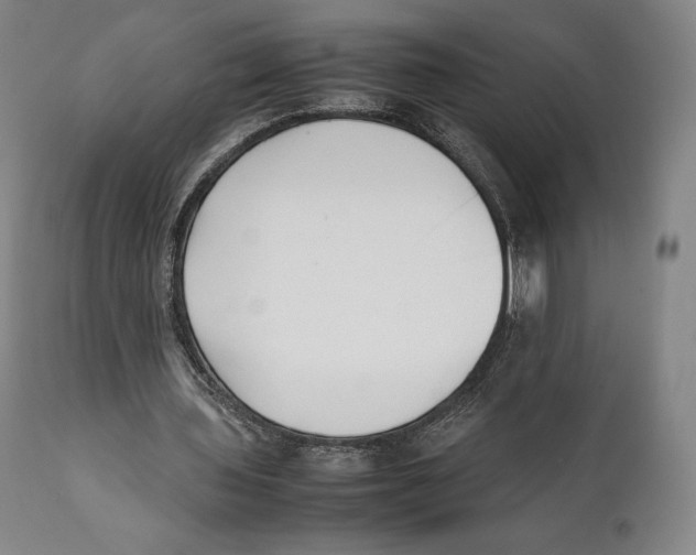 X0000111530435200908111230