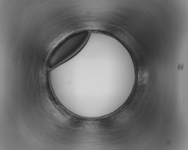 X0000111530436200908111230