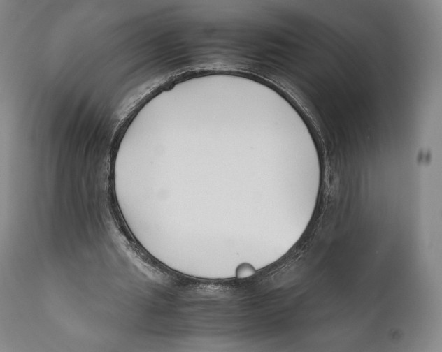 X0000111530437200908111230